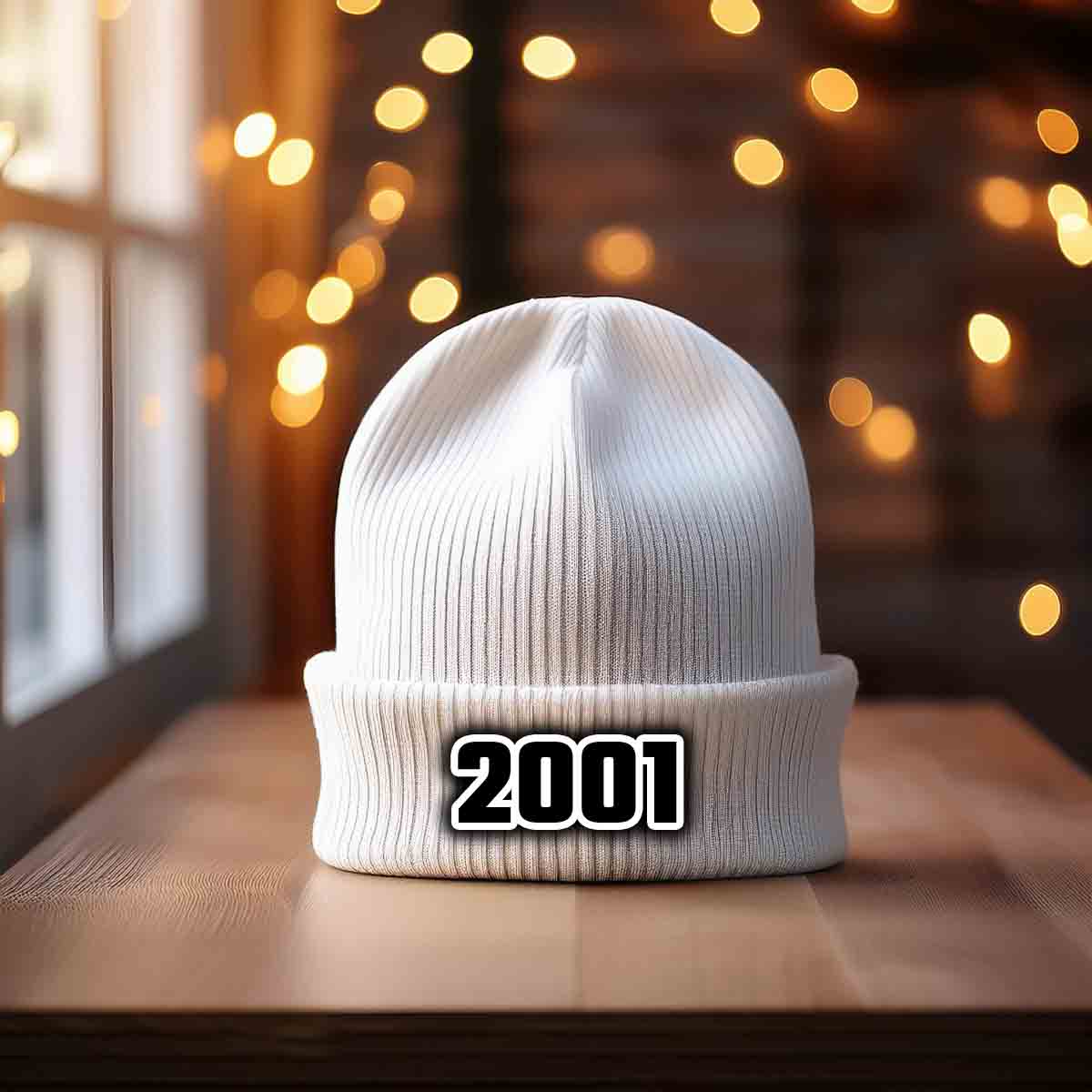 Beanies Plus 2001 Year Cuffed Beanie (White)